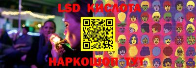 кокс Донской