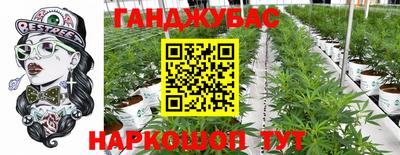 кокс Донской
