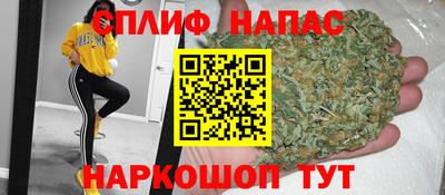 бошки Дубна